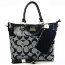 Coach In Signature Medium Grey Totes AOY