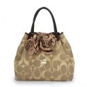 Coach North South Scarf Large Khaki Totes ATT